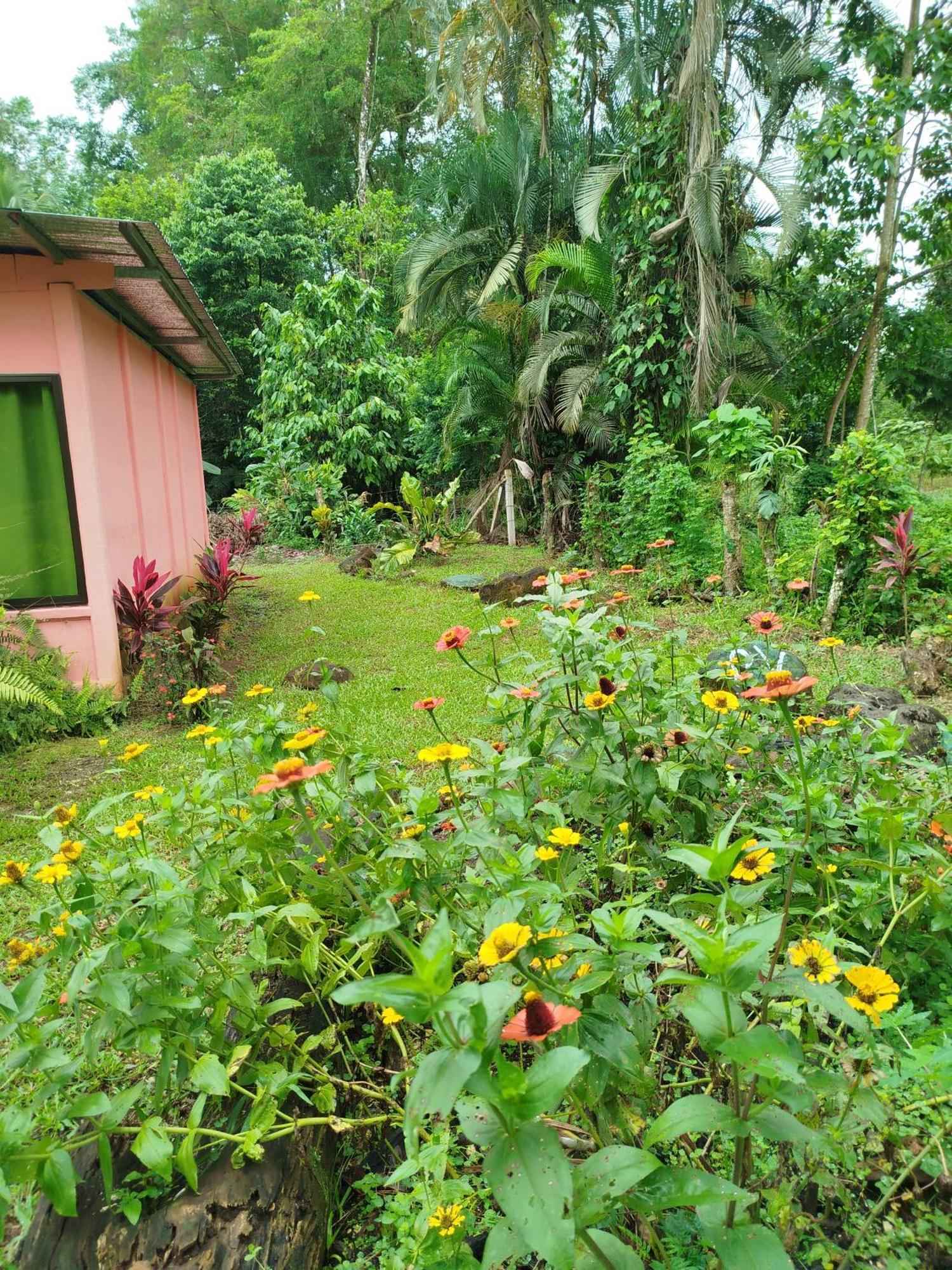 Paraiso Verde Siqurres Da Alegria Quarto foto